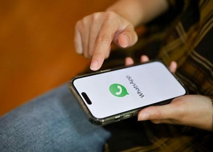 Ikuti 5 Tips Ini Untuk Coba Gunakan Fitur Saluran WhatsApp Secara Efektif 