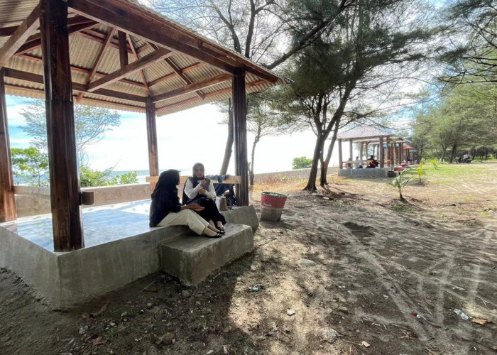 Penataan Pantai Panjang Disambut Positif, Pengunjung dan Pedagang Sepakat Pembangunan Dilanjutkan