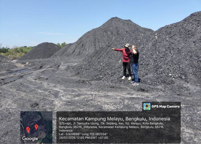 Usut Korupsi Tambang Rp500 Miliar, Kejati Bengkulu Cek Stok Batu Bara PT IBP