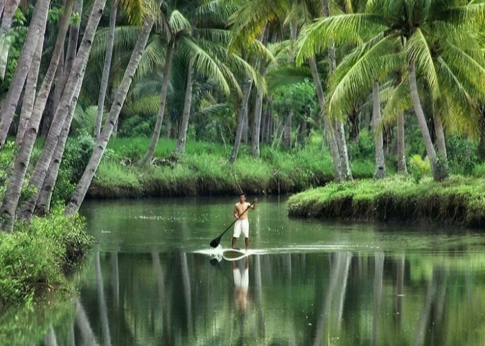 Indahnya Sungai Maron, Amazon Mini Versi Jawa Timur