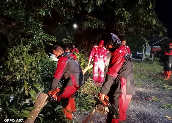 Cuaca Ekstrem Melanda Kota Bengkulu, BPBD, Damkar dan DLH Standby