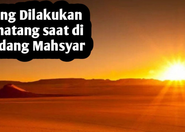 Saat Dikumpulkan di Padang Mahsyar, Apa yang Dilakukan Para Binatang, Berikut Penjelasannya