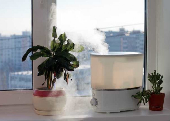 Humidifier Ampuh untuk Menjaga Kelembaban Udara