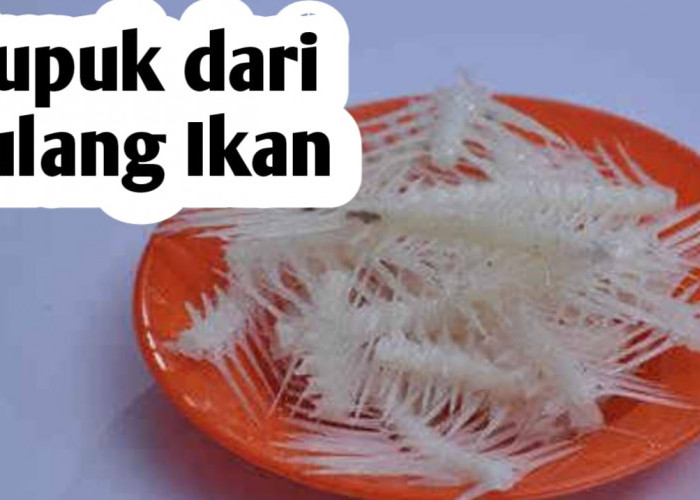 Manfaat Pupuk Organik dari Tulang Ikan