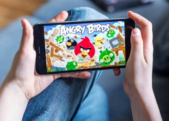 Induk Angry Birds Rovio Diakuisisi Sega Senilai Rp 14 T
