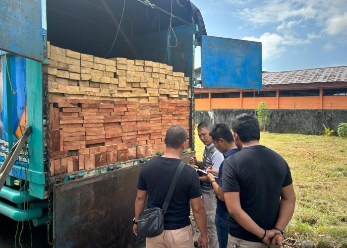 Angkut Ratusan Keping Kayu Secara Ilegal, Warga Asal Lampung Ditangkap di Bengkulu 