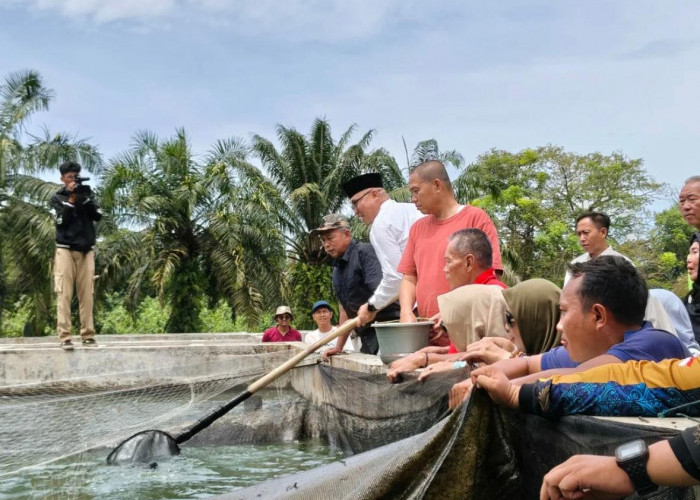Pemkot Bengkulu Jual Lele Murah dan Bibit, Dorong Ketahanan Pangan dan Usaha Warga
