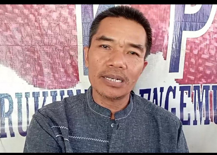 Tertidur di Bus, Remaja 19 Tahun Diduga Jadi Korban Pelecehan oleh Oknum Kernet