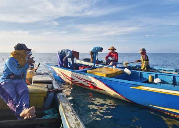 DKP Kota Bengkulu Imbau Nelayan Waspada Cuaca Buruk, Keselamatan Jadi Prioritas