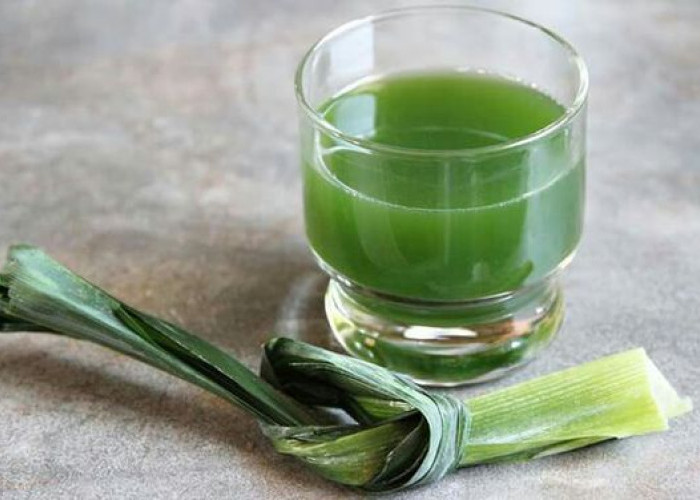 7 Manfaat dan Cara Membuat Minuman Daun Pandan yang Bagus Untuk Tubuh 