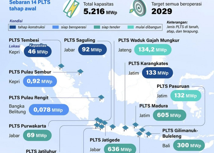 Pembangkit Listrik Tenaga Surya 100 GWp Perkuat Ketahanan Energi Nasional 