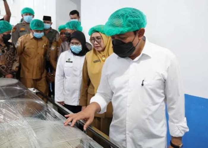 MBG di Bengkulu Sasar 73 Ribu Pelajar, Sekolah Usulkan Variasi Menu