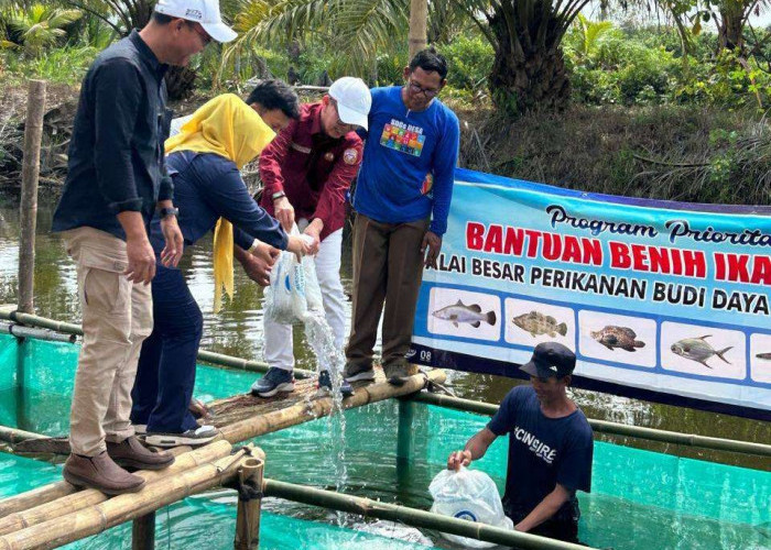 Pemkot Bengkulu Siapkan Bantuan Bibit Ikan untuk Koperasi Merah Putih