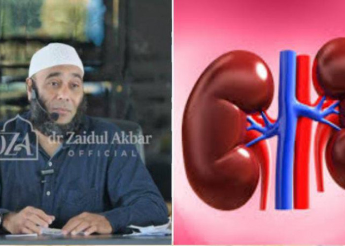 Minuman Herbal untuk Menguatkan Ginjal, Resep dari dr Zaidul Akbar