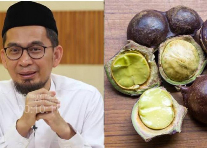 Buat yang Hobi Makan Jengkol, Ustaz Adi Hidayat Jelaskan Hukumnya dalam Islam