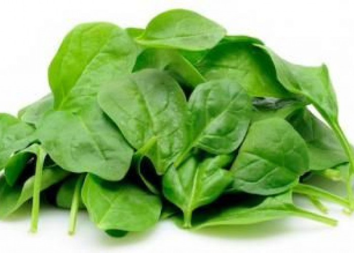 Bayam, Sayur Sederhana dengan Segudang Manfaat untuk Kesehatan