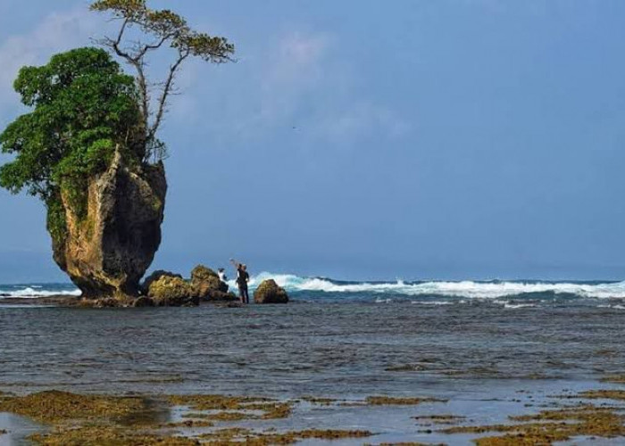 Ini Dia Destinasi Wisata Pantai Terbaik di Kabupaten Kaur Bengkulu 