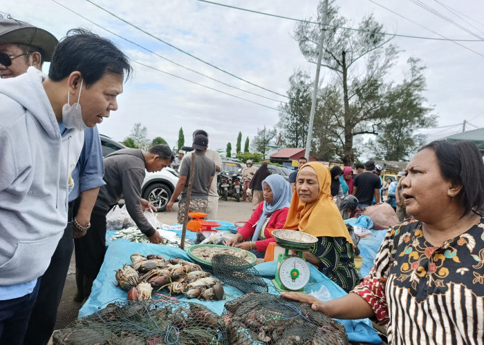 Sultan B Najamudin Kunjungi TPI Pulau Baai dan Pasar Barukoto Kota Bengkulu