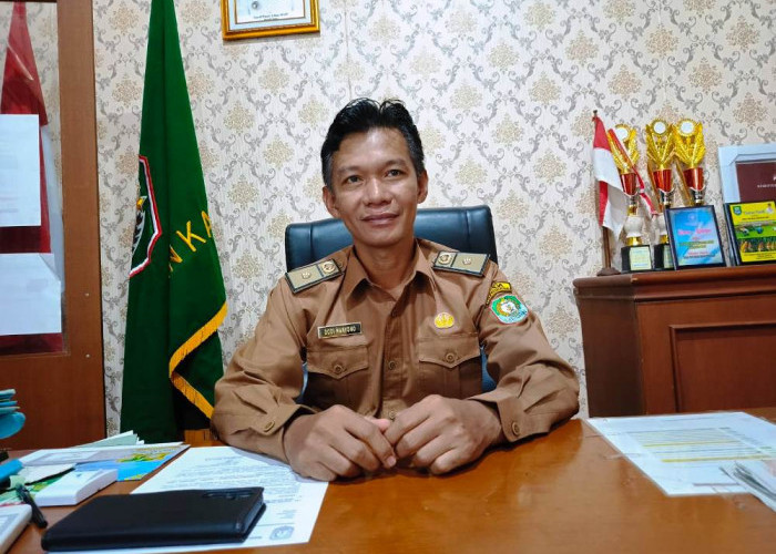 Waspadai Penyakit LSD, Dispertan Kaur Minta Warga Teliti Periksa Sertifikat Kesehatan Hewan Kurban