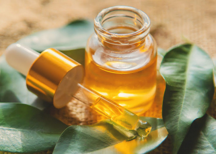 Ampuh Atasi Ketombe! Ini Dia 13 Manfaat Tea Tree Oil