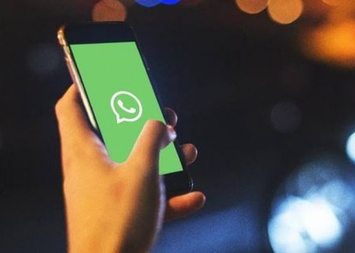 Ini Dia Cara Mudah Mengetahui Pesan WhatsApp Sudah Dibaca atau Belum Meski Diprivasi