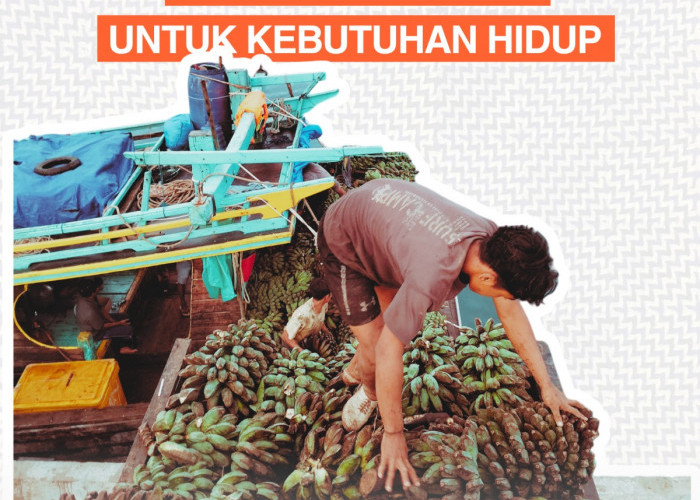 Penuhi Kebutuhan Sehari-hari, Warga Enggano Bertahan Hidup Dengan Barter Ikan dan Beras
