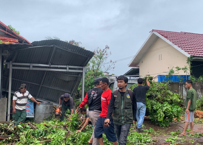 Hujan Deras Picu Pohon Tumbang, Usaha Warga dan Akses Jalan di Seruni Bengkulu Terdampak