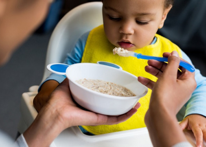 Mana yang Lebih Baik? Bubur Bayi Instan atau Bubur Bayi Buatan Sendiri