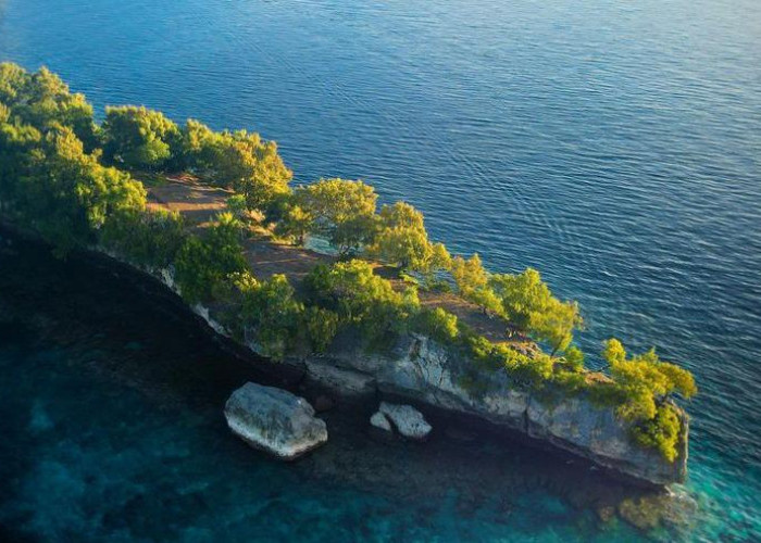 Pulau Pisang, Wisata Diving Terbaik di Banda Neira 