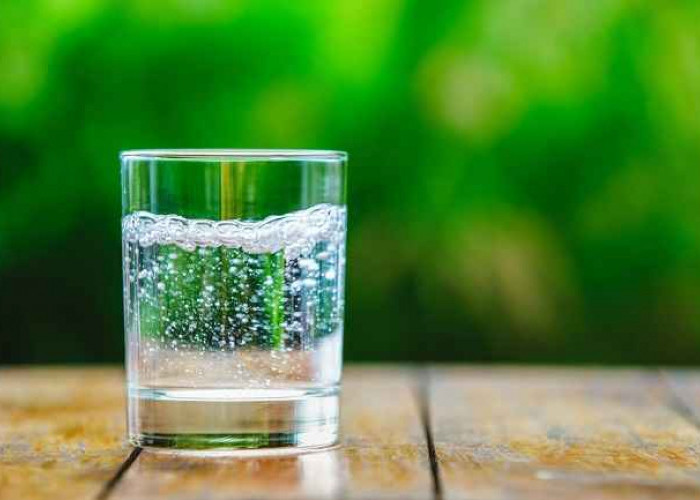 Fakta dan Manfaat Sparkling Water yang Jarang Diketahui