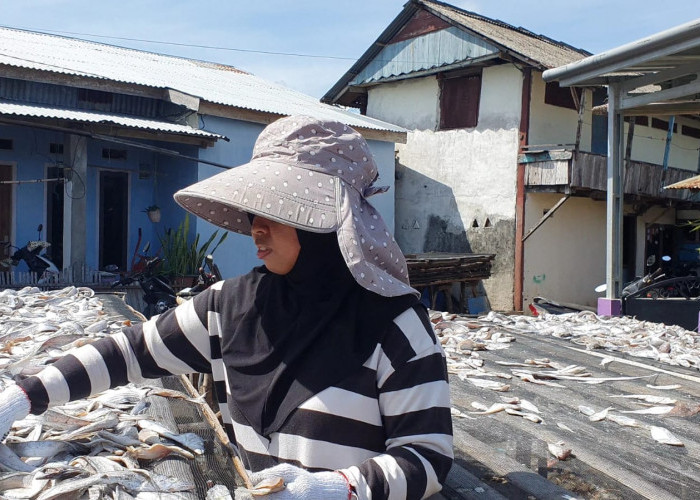 Berkat Pendampingan BRI Cabang Bengkulu, Kelompok Usaha Ikan Asin dan Ikan Kering Tembus Pasar Nasional