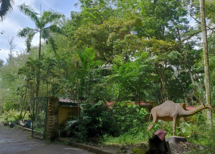 Taman Remaja Kota Bengkulu Terbengkalai, Gubernur Helmi Hasan Dorong Revitalisasi