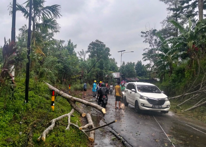  Potensi Puting Beliung Meningkat, Ini Imbauan BPBD Lebong 