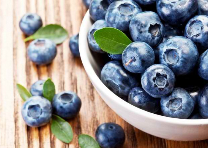 Khasiat Buah Blueberry Ternyata Sangat Dahsyat untuk Kesehatan