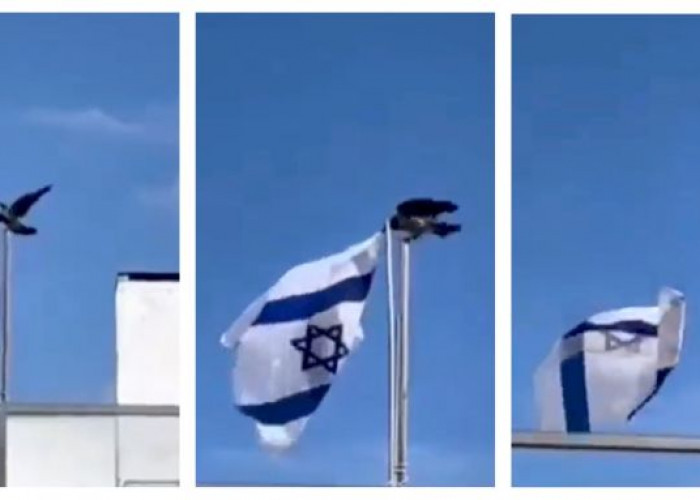 Viral Video Burung Gagak Merobek Bendera Israel, Pertanda Apa?
