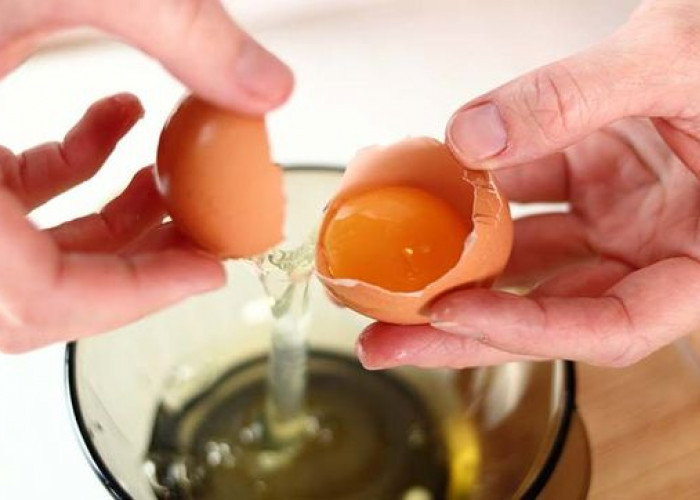 5 Manfaat Putih Telur untuk Kesehatan
