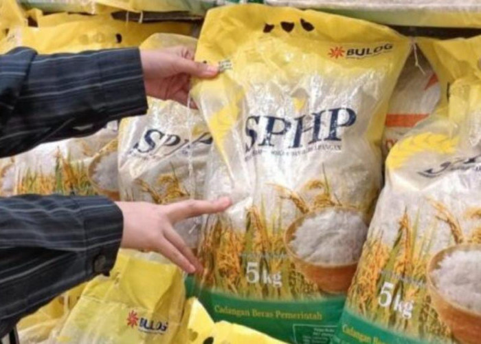 Pemkot Bengkulu Distribusikan Beras SPHP Selama Ramadan, 1 KK Maksimal 15 Kg