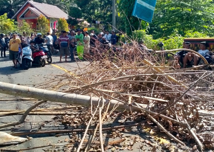 4 Orang Awak Kapal Trawl Ditahan Nelayan Tradisional, Jalan Lintas Bengkulu Utara - Mukomuko Diblokir 