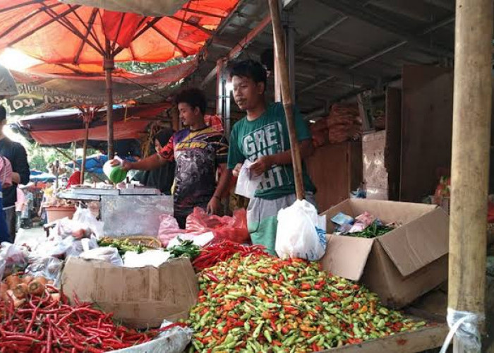 Harga Cabai di Kota Bengkulu Turun, Segini Harganya Perkilogram