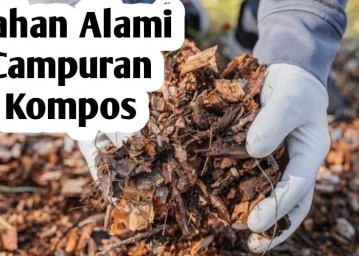 Bahan Alami Campuran Pupuk Kompos