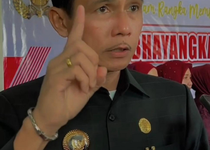 Penegakan Perda Ternak di Kaur Berhasil, 22 Hewan Dilelang Terbuka