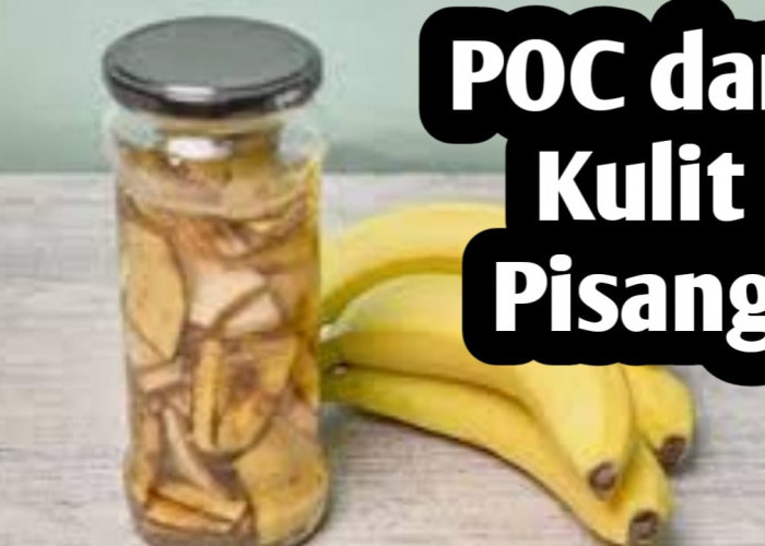 Air Kulit Pisang Bisa Membantu Menyuburkan Tanaman, Ini Cara Membuatnya