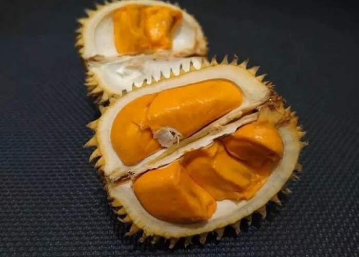 Dikenal Mirip Buah Durian, Inilah 8 Manfaat Buah Lai Khas Kalimantan Untuk Kesehatan 