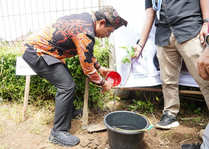 GMKI Bengkulu Tanam 1.000 Pohon, Walikota Dedy Hadir Dukung Gerakan Peduli Lingkungan