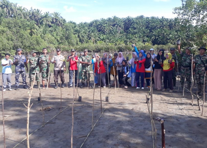 Pesisir Pantai Pino Gantung Ditanami Ratusan Bibit Mangrove