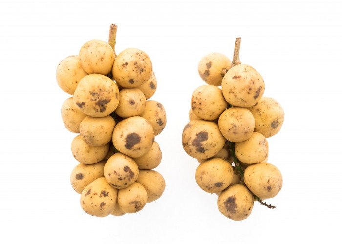 Dikenal dengan Cita Rasa Asam Manis, Inilah 8 Manfaat Buah Langsat untuk Kesahatan 