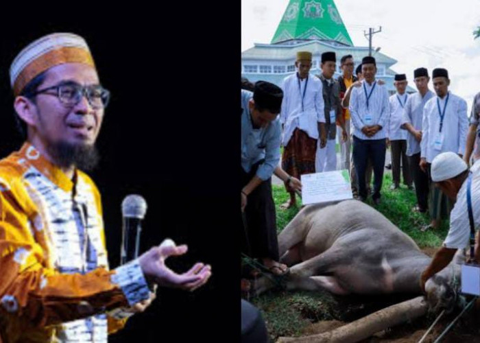 Pahala Kurban yang Jarang Diketahui, Ustaz Adi Hidayat: Seluruh Bagian Tubuh Akan Merasakan