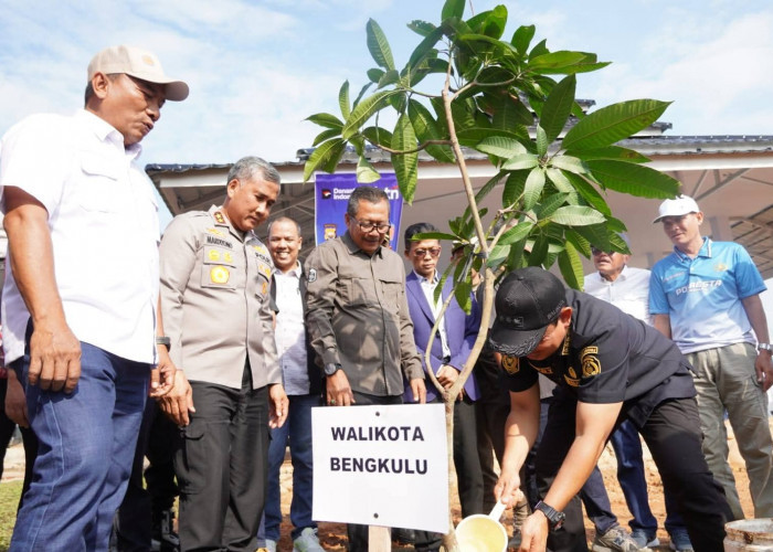 DPD REI Bengkulu Dukung Program SAPO SURUH Pemkot dengan Ganti Pohon Berbuah