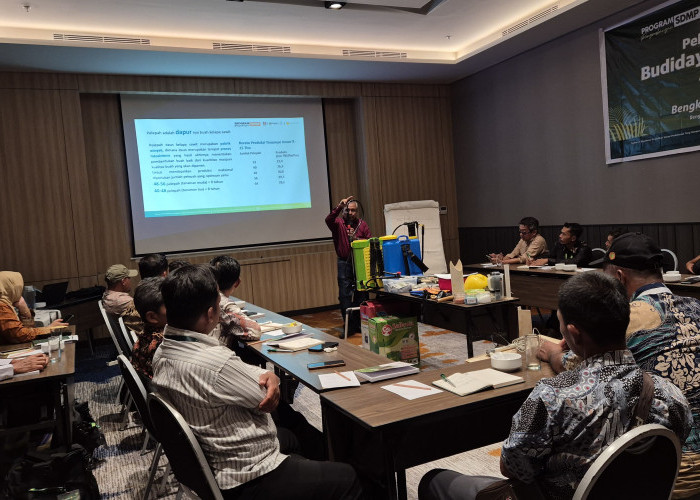 AKPY, BPDP, dan Ditjenbun Perkuat Kompetensi Pekebun, Setiap Tahap Tentukan Nilai Sawit