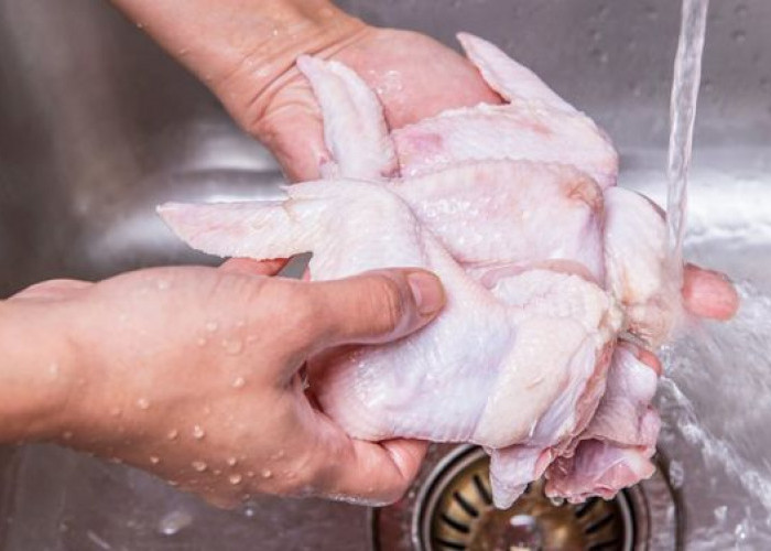 Bolehkah Mencuci Daging Ayam Mentah Sebelum Dimasak? Begini Penjelasannya 
